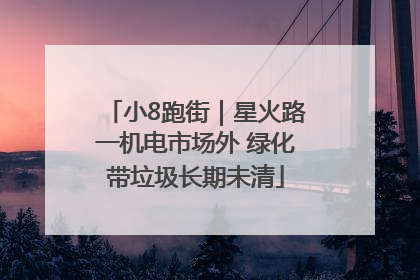 小8跑街｜星火路一机电市场外 绿化带垃圾长期未清