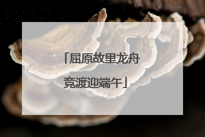 屈原故里龙舟竞渡迎端午