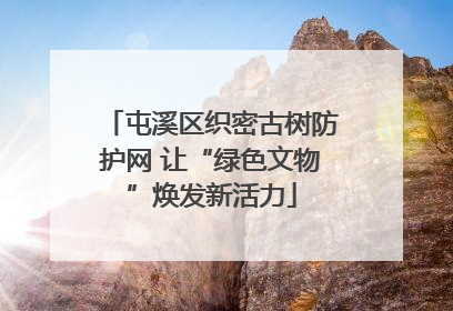 屯溪区织密古树防护网 让“绿色文物”焕发新活力