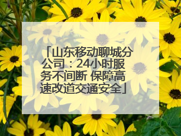 山东移动聊城分公司：24小时服务不间断 保障高速改道交通安全