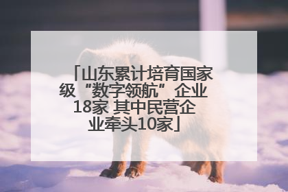山东累计培育国家级“数字领航”企业18家 其中民营企业牵头10家