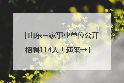 山东三家事业单位公开招聘114人！速来→