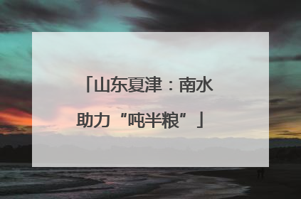 山东夏津：南水助力“吨半粮”