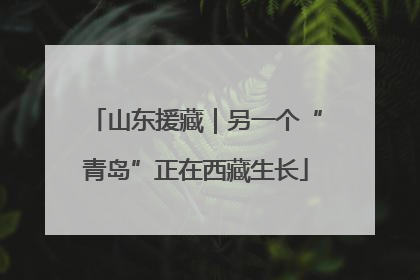 山东援藏｜另一个“青岛”正在西藏生长
