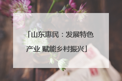 山东惠民：发展特色产业 赋能乡村振兴