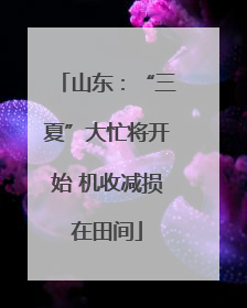 山东：“三夏”大忙将开始 机收减损在田间