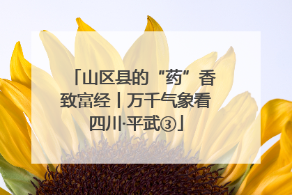 山区县的“药”香致富经丨万千气象看四川·平武③