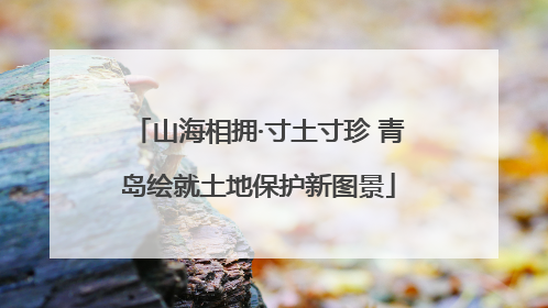 山海相拥·寸土寸珍 青岛绘就土地保护新图景