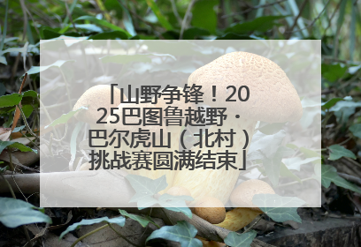 山野争锋！2025巴图鲁越野・巴尔虎山（北村）挑战赛圆满结束