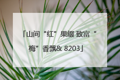 山间“红”果缀 致富“梅”香飘& 8203