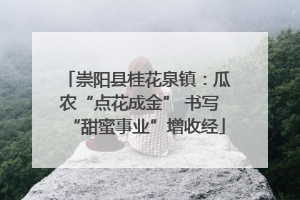崇阳县桂花泉镇：瓜农“点花成金” 书写“甜蜜事业”增收经