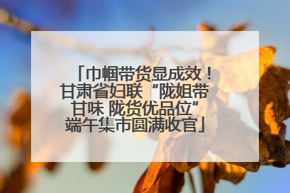巾帼带货显成效！甘肃省妇联“陇姐带甘味 陇货优品位”端午集市圆满收官