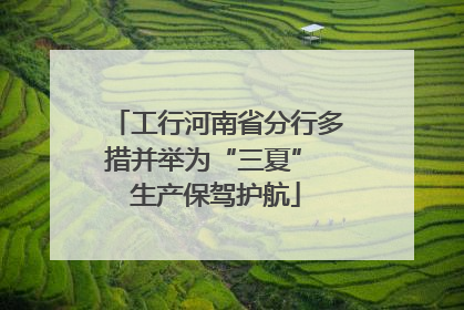 工行河南省分行多措并举为“三夏” 生产保驾护航