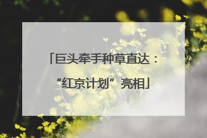巨头牵手种草直达：“红京计划”亮相
