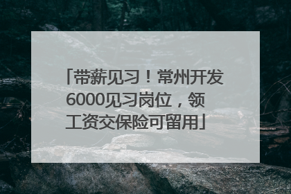 带薪见习！常州开发6000见习岗位，领工资交保险可留用