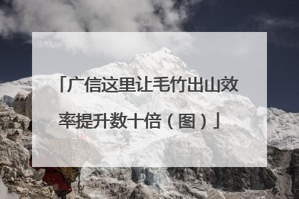 广信这里让毛竹出山效率提升数十倍（图）