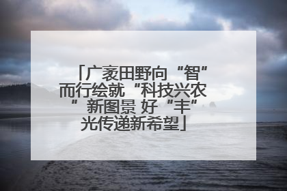 广袤田野向“智”而行绘就“科技兴农”新图景 好“丰”光传递新希望