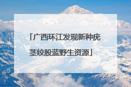 广西环江发现新种疣茎绞股蓝野生资源