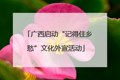 广西启动“记得住乡愁”文化外宣活动