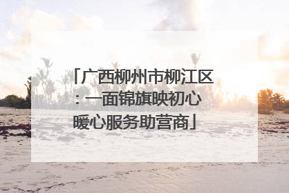 广西柳州市柳江区：一面锦旗映初心 暖心服务助营商