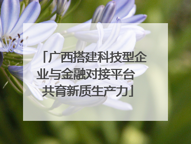 广西搭建科技型企业与金融对接平台 共育新质生产力