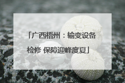 广西梧州：输变设备检修 保障迎峰度夏