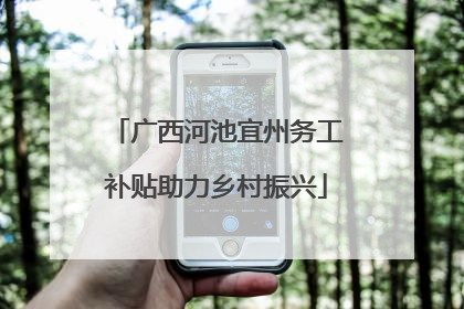 广西河池宜州务工补贴助力乡村振兴