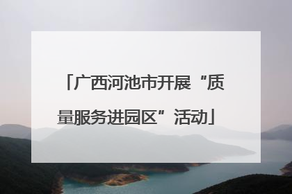 广西河池市开展“质量服务进园区”活动
