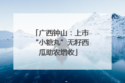 广西钟山：上市“小糖丸”无籽西瓜助农增收