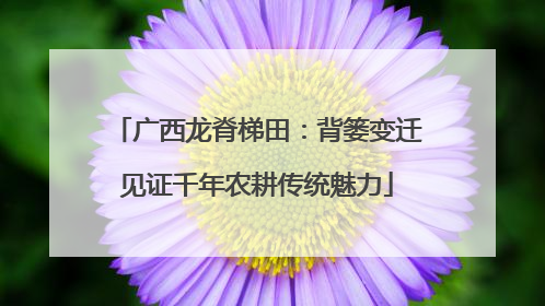 广西龙脊梯田：背篓变迁见证千年农耕传统魅力