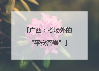 广西：考场外的“平安答卷”
