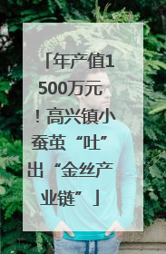 年产值1500万元！高兴镇小蚕茧“吐”出“金丝产业链”
