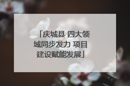 庆城县 四大领域同步发力 项目建设赋能发展