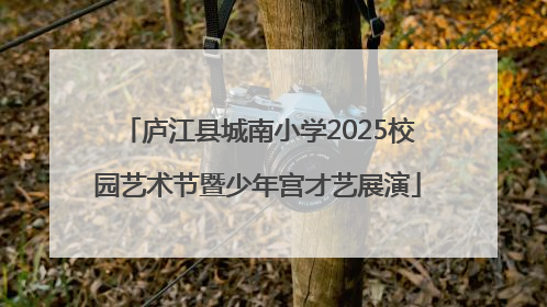 庐江县城南小学2025校园艺术节暨少年宫才艺展演