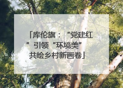 库伦旗：“党建红”引领“环境美” 共绘乡村新画卷
