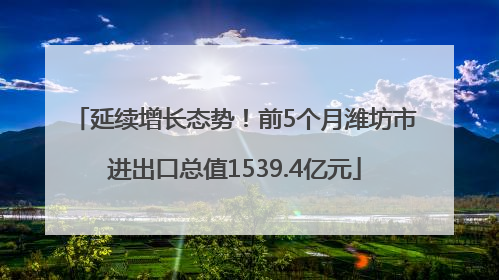 延续增长态势！前5个月潍坊市进出口总值1539.4亿元