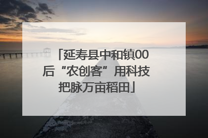延寿县中和镇00后“农创客”用科技把脉万亩稻田