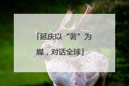 延庆以“薯”为媒，对话全球