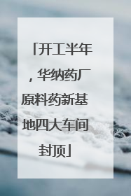 开工半年，华纳药厂原料药新基地四大车间封顶