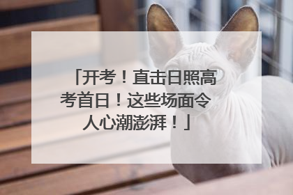 开考！直击日照高考首日！这些场面令人心潮澎湃！