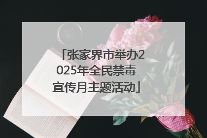 张家界市举办2025年全民禁毒宣传月主题活动