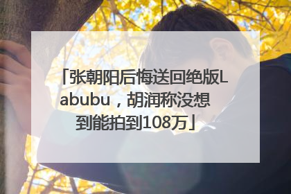 张朝阳后悔送回绝版Labubu，胡润称没想到能拍到108万