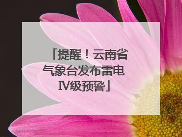 提醒！云南省气象台发布雷电Ⅳ级预警