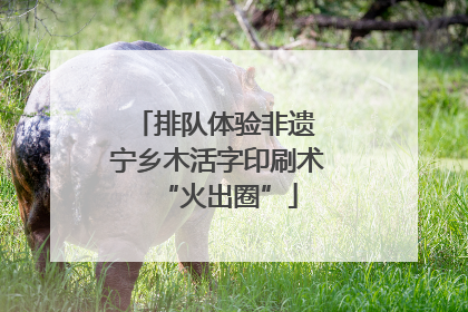 排队体验非遗 宁乡木活字印刷术“火出圈”