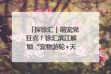 探徐汇｜萌宠党狂喜！徐汇滨江解锁“宠物游轮+天台乐园”双玩法
