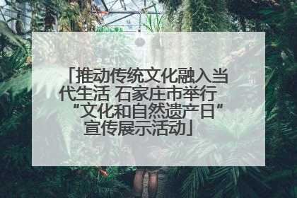 推动传统文化融入当代生活 石家庄市举行“文化和自然遗产日”宣传展示活动