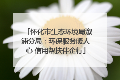怀化市生态环境局溆浦分局：环保服务暖人心 信用帮扶伴企行