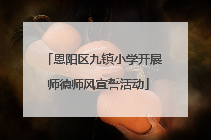 恩阳区九镇小学开展师德师风宣誓活动
