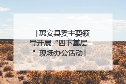 惠安县委主要领导开展“四下基层”现场办公活动