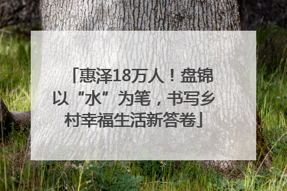 惠泽18万人！盘锦以“水”为笔，书写乡村幸福生活新答卷